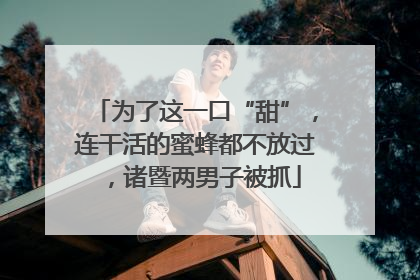 为了这一口“甜”，连干活的蜜蜂都不放过，诸暨两男子被抓