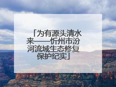 为有源头清水来——忻州市汾河流域生态修复保护纪实