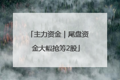 主力资金｜尾盘资金大幅抢筹2股