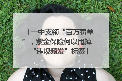 一中支领“百万罚单”，紫金保险何以甩掉“违规频发”标签
