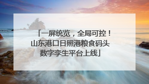 一屏统览，全局可控！山东港口日照港粮食码头数字孪生平台上线