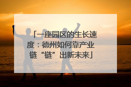 一座园区的生长速度：德州如何靠产业链“链”出新未来