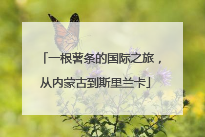 一根薯条的国际之旅，从内蒙古到斯里兰卡