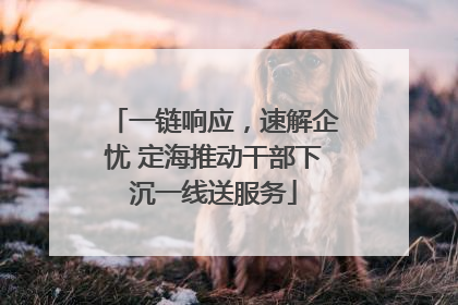 一链响应，速解企忧 定海推动干部下沉一线送服务