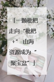 一颗枇杷走向“枇杷+” 山海资源成为“聚宝盆”
