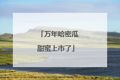 万年哈密瓜甜蜜上市了