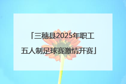 三穗县2025年职工五人制足球赛激情开赛