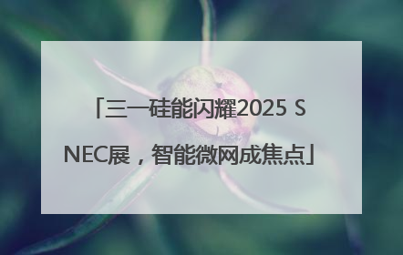 三一硅能闪耀2025 SNEC展，智能微网成焦点