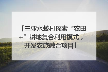 三亚水蛟村探索“农田+”耕地复合利用模式，开发农旅融合项目
