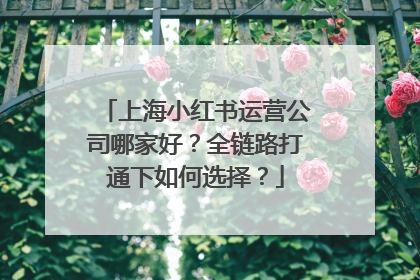 上海小红书运营公司哪家好？全链路打通下如何选择？