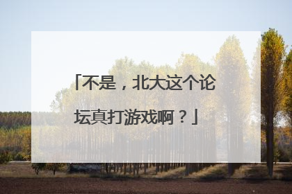 不是，北大这个论坛真打游戏啊？