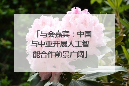 与会嘉宾：中国与中亚开展人工智能合作前景广阔