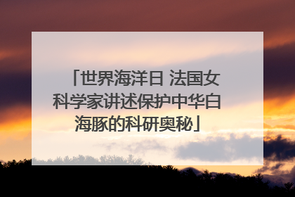 世界海洋日 法国女科学家讲述保护中华白海豚的科研奥秘