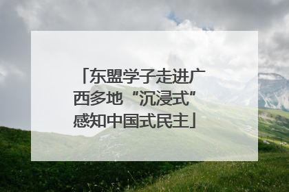 东盟学子走进广西多地“沉浸式”感知中国式民主