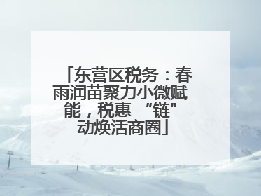 东营区税务：春雨润苗聚力小微赋能，税惠 “链” 动焕活商圈