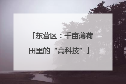 东营区：千亩薄荷田里的“高科技”