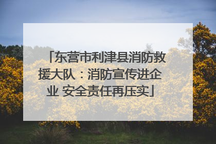 东营市利津县消防救援大队：消防宣传进企业 安全责任再压实