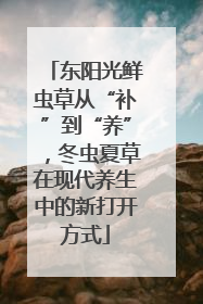 东阳光鲜虫草从“补”到“养”，冬虫夏草在现代养生中的新打开方式