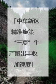 中牟新区精准施策 “三夏”生产跑出丰收加速度