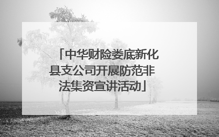 中华财险娄底新化县支公司开展防范非法集资宣讲活动
