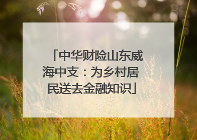 中华财险山东威海中支：为乡村居民送去金融知识