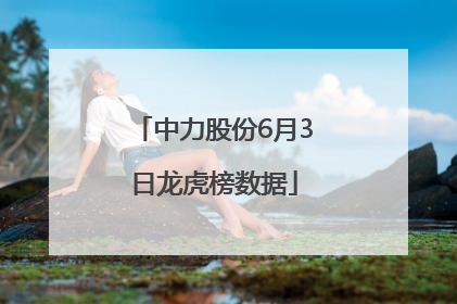 中力股份6月3日龙虎榜数据