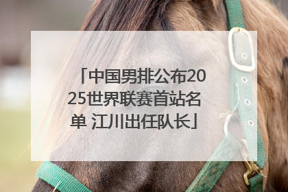 中国男排公布2025世界联赛首站名单 江川出任队长