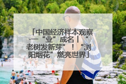 中国经济样本观察·一“业”成名丨“老树发新芽”！“浏阳烟花”燃亮世界