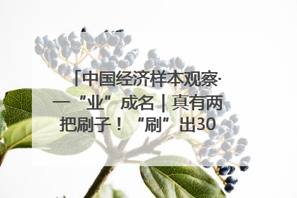中国经济样本观察·一“业”成名｜真有两把刷子！“刷”出30亿级“颜值经济”