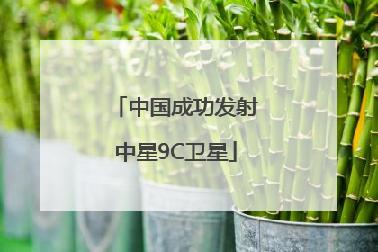 中国成功发射中星9C卫星