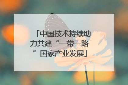 中国技术持续助力共建“一带一路”国家产业发展