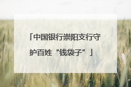 中国银行崇阳支行守护百姓“钱袋子”