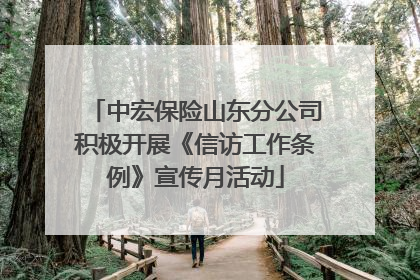 中宏保险山东分公司积极开展《信访工作条例》宣传月活动