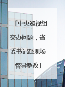中央巡视组交办问题，省委书记赴现场督导整改