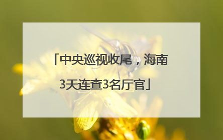 中央巡视收尾，海南3天连查3名厅官