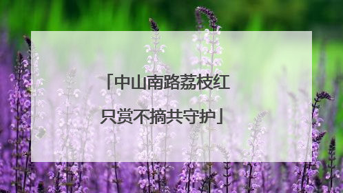 中山南路荔枝红 只赏不摘共守护
