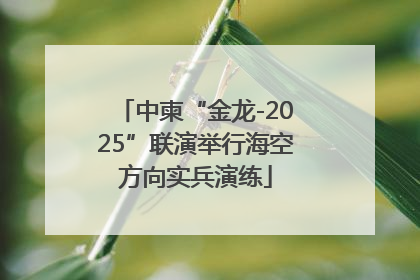 中柬“金龙-2025”联演举行海空方向实兵演练