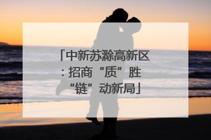 中新苏滁高新区：招商“质”胜 “链”动新局