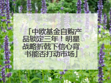 中欧基金自购产品锁定三年！明星战略折戟下信心背书能否打动市场