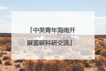 中英青年海南开展蓝碳科研交流