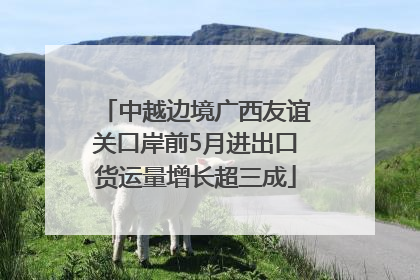 中越边境广西友谊关口岸前5月进出口货运量增长超三成