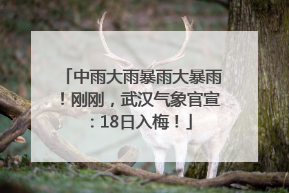 中雨大雨暴雨大暴雨！刚刚，武汉气象官宣：18日入梅！