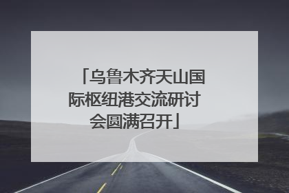 乌鲁木齐天山国际枢纽港交流研讨会圆满召开
