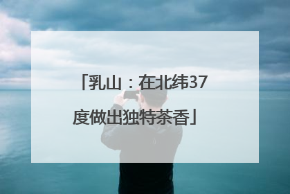 乳山：在北纬37度做出独特茶香