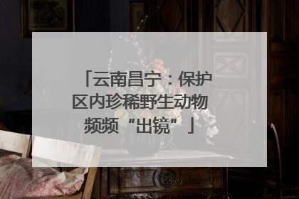 云南昌宁：保护区内珍稀野生动物频频“出镜”