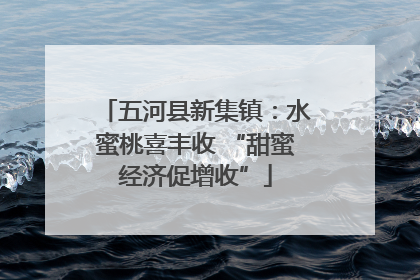 五河县新集镇：水蜜桃喜丰收 “甜蜜经济促增收”