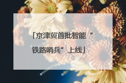 京津冀首批智能“铁路哨兵”上线