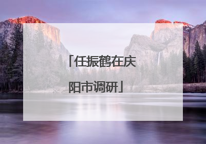 任振鹤在庆阳市调研