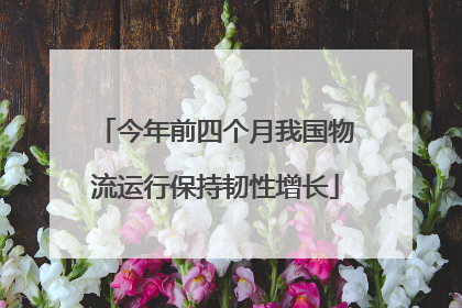 今年前四个月我国物流运行保持韧性增长