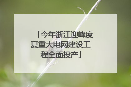 今年浙江迎峰度夏重大电网建设工程全面投产